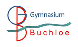 Logo Partner Schule Buchloe für Jobchancen Ostallgäu und Unterallgäu
